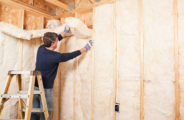 Best Batt and Roll Insulation  in Lakeland, FL